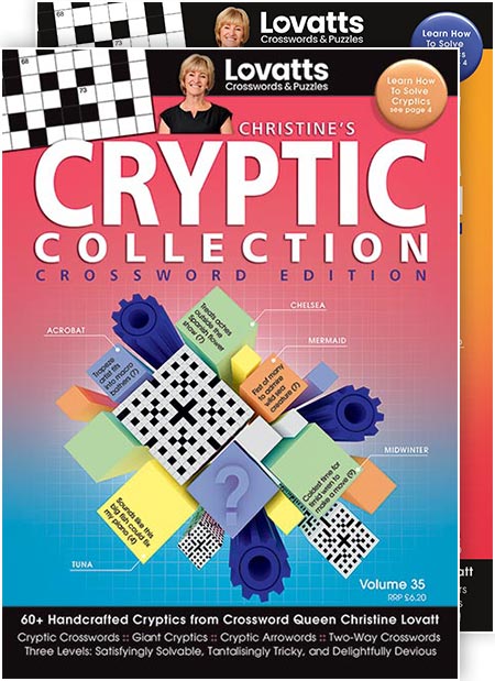 Christine’s Cryptic Collection // UK One Year Subscription